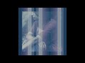 Audinjee - Towards Backward on the End of the Cliff (2024) [Full Album]