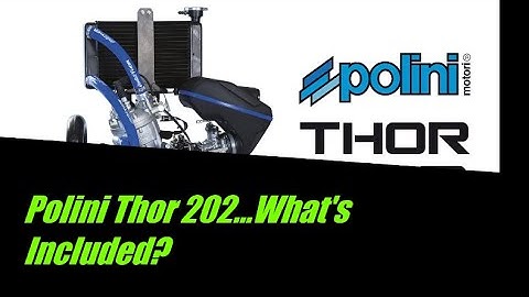 Polini Thor 202...What