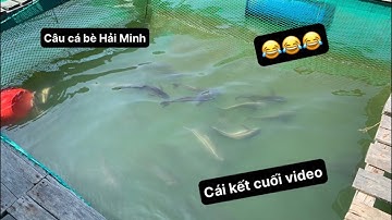 Câu Cá Bè Hải Minh. Cái Kết Hài Hước. @câu cá biển tự nhiên. | Tý Fishing |. @câu cá.