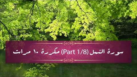 Surah An-Naml (part 1/8) repeated 10 times - سورة النمل (part 1/8) مكررة 10 مرات