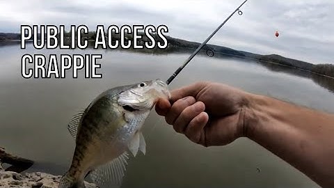 Crappie Fishing with LIVE  Minnows  | Public Access