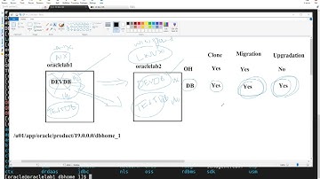 Oracle Database - Clone Vs Migration Vs Upgradation - Oracle Home Cloning