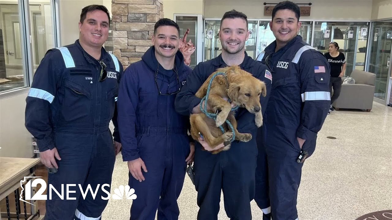 Dog rescued from shipping container in Texas - YouTube