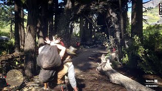 RDR2 - What happens if Arthur brings a witch to the witch's hut