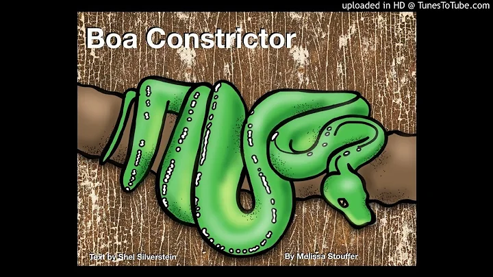 Boa Constrictor