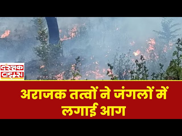 Uttarakhand Forest Fire : अराजक तत्वों ने जंगलों में लगाई आग ..|| Dastak Times ||