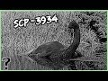 What if SCP 3934 Was Real?