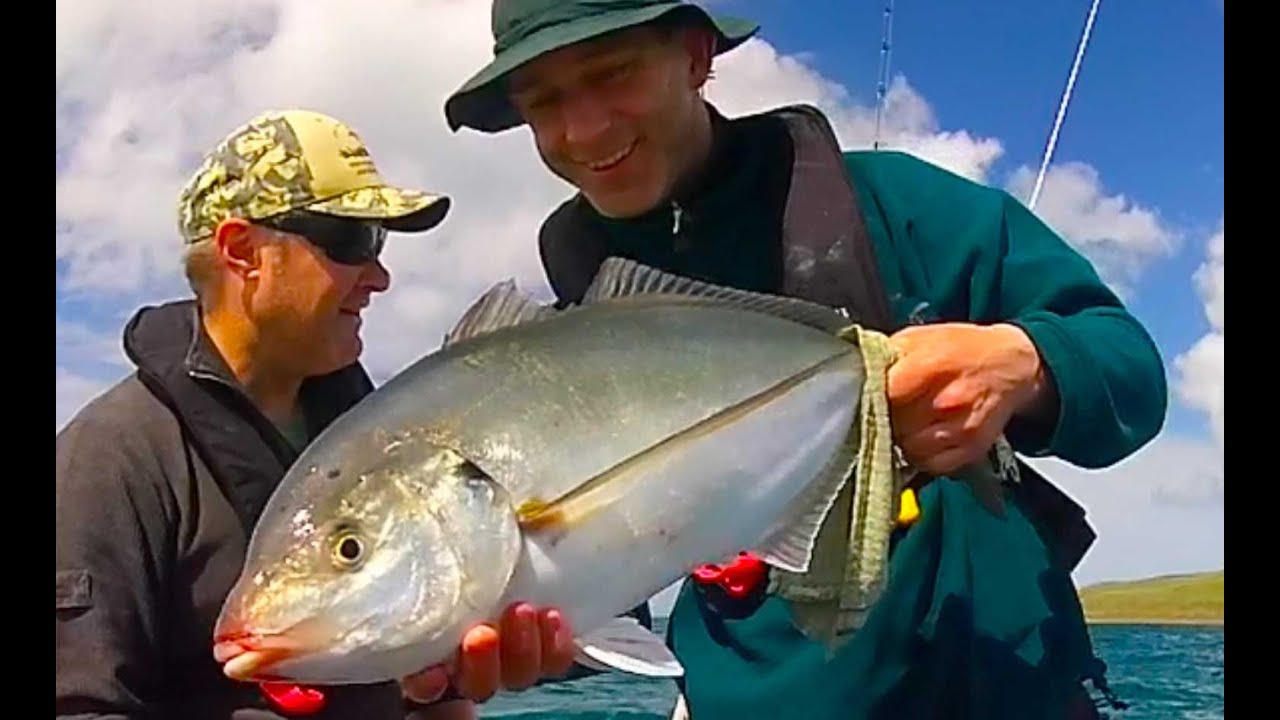 Wellington Boat Fishing Huge Gurnard & Trevally South Coast YouTube