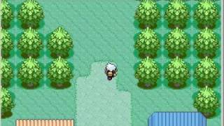 Pokemon Ruby-Unlimited PP Gameshark Codes