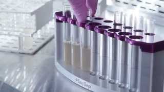 How to Pipette Off the Supernatant from the EasyEights™ EasySep™ Magnet for Cell Isolation