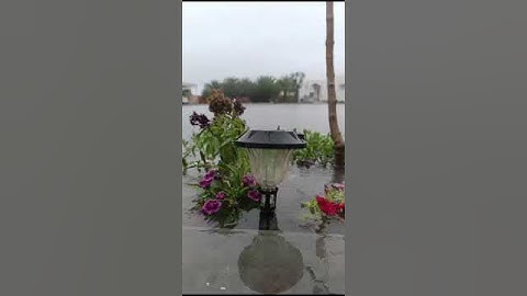 سورة السجدة /#القرآن_الكريم #اكسبلور #subscribe #تيك_توك #dubai #لايك #راحة_نفسية #العراق #ترند