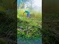 #slashing nanaman Tayo mga ka farmers 😲