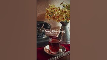 قرآن كريم بصوت الشيخ ياسر الدوسري. #quran #اكسبلور #trending #دويتو #duet #لايك #تيك_توك