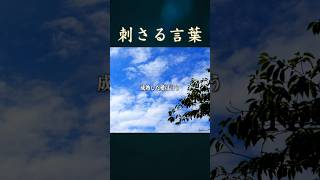 【名言】男女関係に関するあの人の言葉 part7