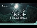 Южный океан: в сердце холода | На дне океана | Discovery