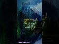 إذا خسرت الدنيا كلها وأنت مع الله فما خسرت شيئا اقتباسات كلام من ذهب 
