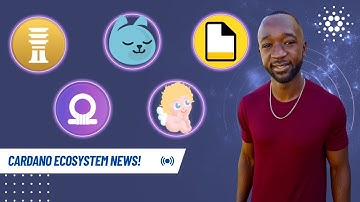 BITCOIN Coming to Cardano, DJED & SHEN Rewards, JPG Store Token and Minswap Parabolic Growth!