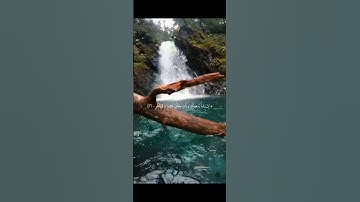 ﴿ يَاأَيُّهَا النَّاسُ أَنْتُمُ الْفُقَرَاءُ إِلَى اللَّهِ # سورة فاطر# الشيخ المنشاوي
