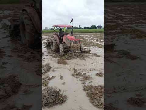 #FarmHarvest #BigMa #LandPreparation