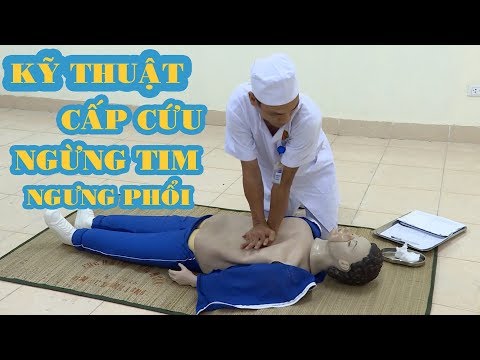 Video: Cách hỗ trợ nạn nhân bị rình rập: 15 bước