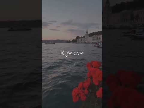 انت حبيبي وبالقلب غيرك مافى انسان