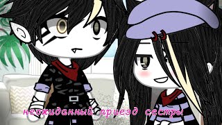 картинка: Неожиданный приезд сестры{1/?}