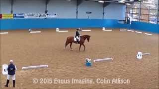 Cheryl Hunt - Elementary 43 W