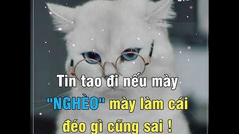 Share Sóng Nhạc - Ảnh Đập Theo Nhạc + Hiệu Ứng Mới Đẹp _ Template AveePlayer By HansBaby Studio