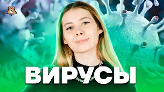 Вирусы | Биология ЕГЭ 10 класс | Умскул