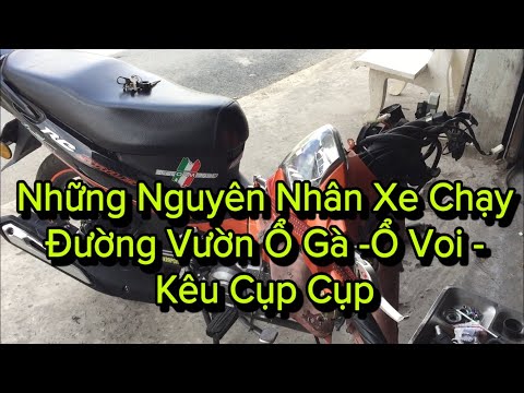 Video Thay Chén Bi ( đạn ) Cổ Sirius Fi Và Những Nguyên Nhân... - youtube