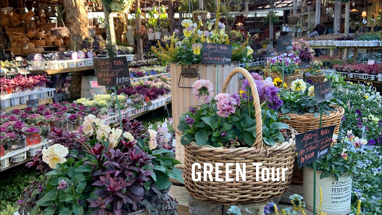 英国風ガーデン好きにはたまらないガーデニングショップ！籠、鉢(ウィッチフォードやローラアシュレイ等)雑貨も豊富！素敵可愛いが止まらないお店  | 金久 |  園芸店巡り | 大阪/日根野