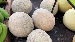 1 Minute Food Facts: Cantaloupes