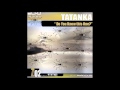 Tatanka Do You Know This One Wings Of The Dawn mp3