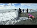 Large whale washes ashore at Anchor Point