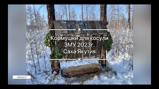 Кормушки для косули / ЗМУ 2023 / Саха Якутия