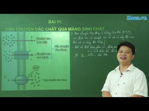 Video: Chức năng của các protein vận chuyển qua màng là gì?