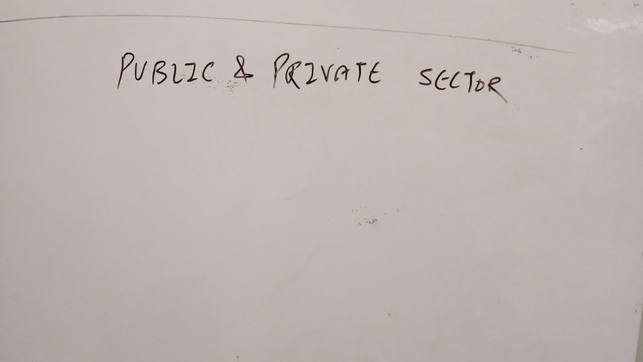 CH 2 PUBLIC AND PRIVATE SECTOR CLASS 10 YouTube