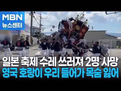 일본 축제 수레 넘어져 2명 사망…영국 호랑이 참변 [MBN 뉴스센터]