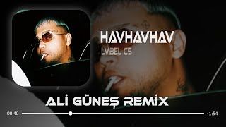 Onlar Arkadan Havlarlar (Ali Güneş Remix) Lvbel C5 - Havhavhav