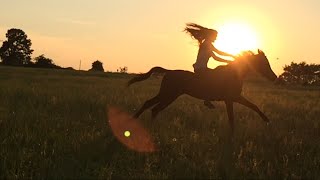 Running Horses On Texas Sunsets || THIS PLACE IS PARADISE, IT'S THE PLACE I CALL HOME