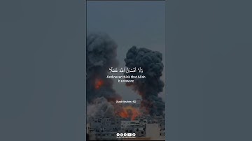 و هرگز گمان مبر که خدا از آنچه ستمگران انجام میدهند غافل است... سوره ابراهیم، آیه ۴۲