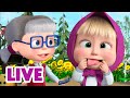 🔴 LIVE 🐻👧 Masha y el Oso 2024 🤪😁 Pequeña traviesa🎬 Masha and the Bear