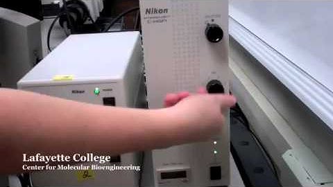 Nikon Ti Eclipse Confocal Microscope   Fluorescence Imaging