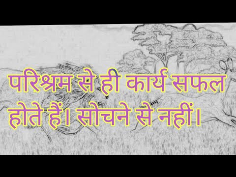 Porno: Ular mushuklariga qollaridan kelganini qoyishadi