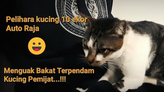 Download Lagu Unik Banget! Kucing Ini Bisa Memijat Pemiliknya | Warna Kehidupan MP3 Download Lagu Unik Banget! Kucing Ini Bisa Memijat Pemiliknya | Warna Kehidupan MP3