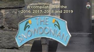 Best of the Snowdonian