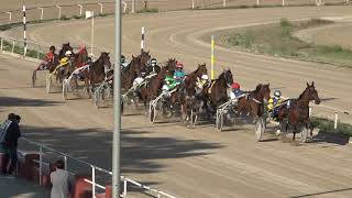 Vidéo de la course PMU PREMI HARICOT DES GROIX