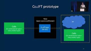 USENIX Security '22 - CellIFT: Leveraging Cells for Scalable and Precise Dynamic Information Flow