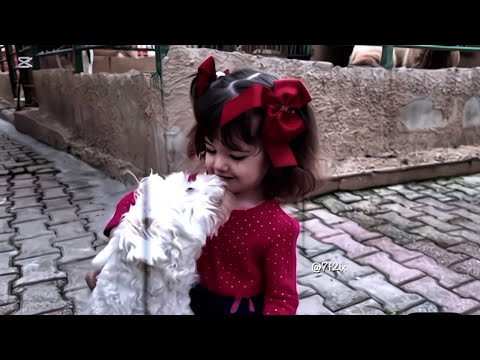 يا سطوحي لا تاخذوا شي لطفا