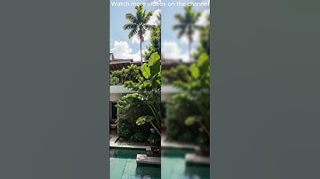 Small Courtyard Garden Ideas  #2